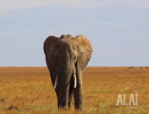 ÁFRICA DESCONOCIDA