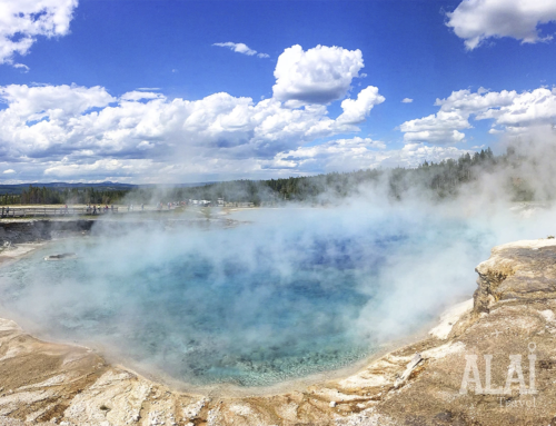 YELLOWSTONE: UN LUGAR INCREÍBLE