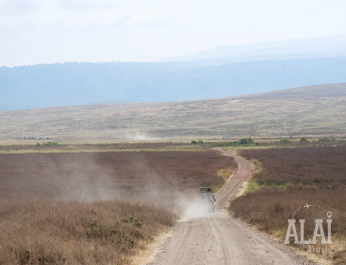 TANZANIA: EL PARAISO DE ÁFRICA ORIENTAL