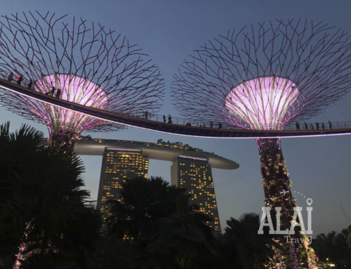 SINGAPUR: LA PEQUEÑA GRAN POTENCIA DE ASIA ORIENTAL